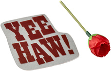 株式会社海洋堂のプレスリリース画像9