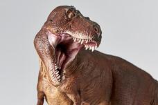 株式会社海洋堂のプレスリリース画像5