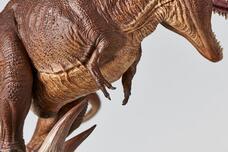 株式会社海洋堂のプレスリリース画像7