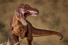 株式会社海洋堂のプレスリリース画像9