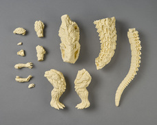 株式会社海洋堂のプレスリリース画像15