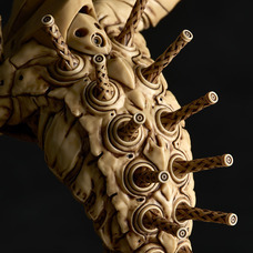 株式会社海洋堂のプレスリリース画像8