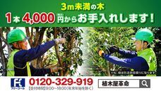 株式会社クイック・ガーデニングのプレスリリース画像2