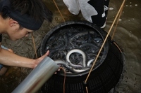 アールビーシーコンサルタント株式会社のプレスリリース