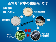 アールビーシーコンサルタント株式会社のプレスリリース