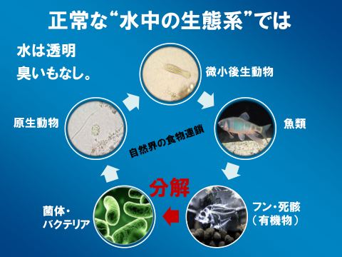 国連に認められた脅威の技術 バクチャー 世界中 水で苦しむ28億人を救う アールビーシーコンサルタント株式会社のプレスリリース
