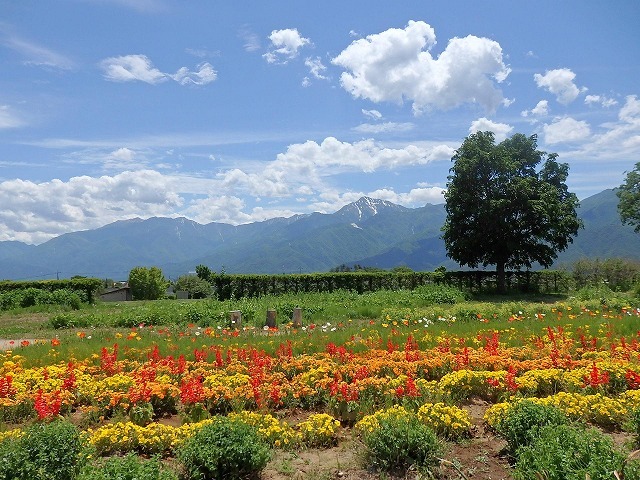 NPO法人　みんなの街のプレスリリース画像1