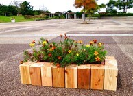 合同会社ナチュラルドライのプレスリリース画像6