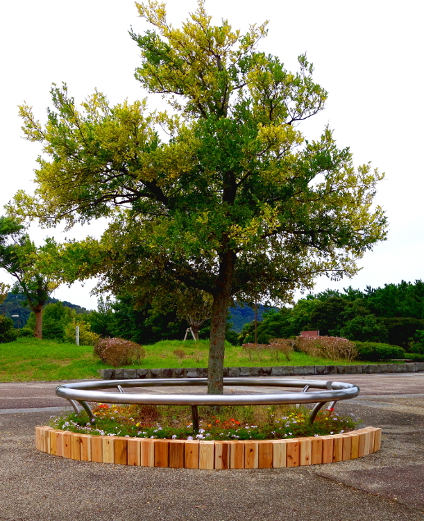 合同会社ナチュラルドライのプレスリリース画像4