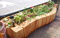 合同会社ナチュラルドライのプレスリリース画像5