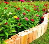 合同会社ナチュラルドライのプレスリリース画像3