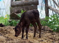 合同会社ナチュラルドライのプレスリリース画像5