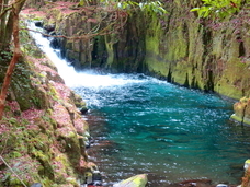 合同会社ナチュラルドライのプレスリリース画像3