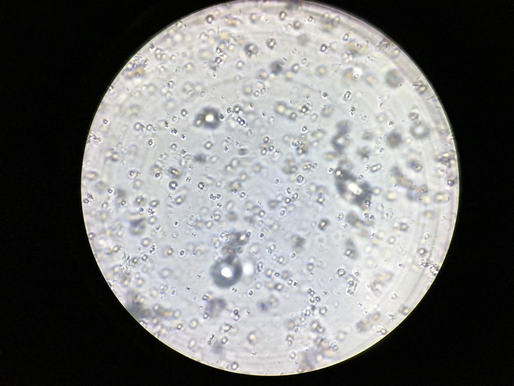 株式会社 mil-kinのプレスリリース画像4