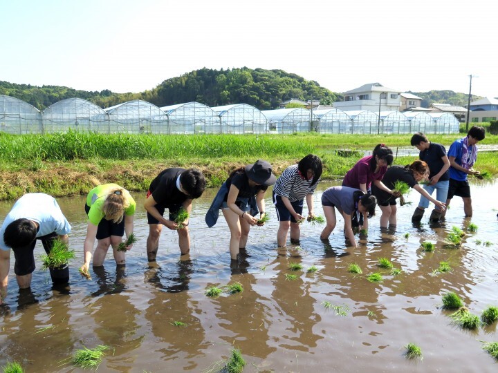 リングロー株式会社のプレスリリース画像1