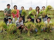 リングロー株式会社のプレスリリース画像1