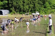 リングロー株式会社のプレスリリース画像1