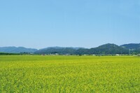 鳥取市役所のプレスリリース画像6