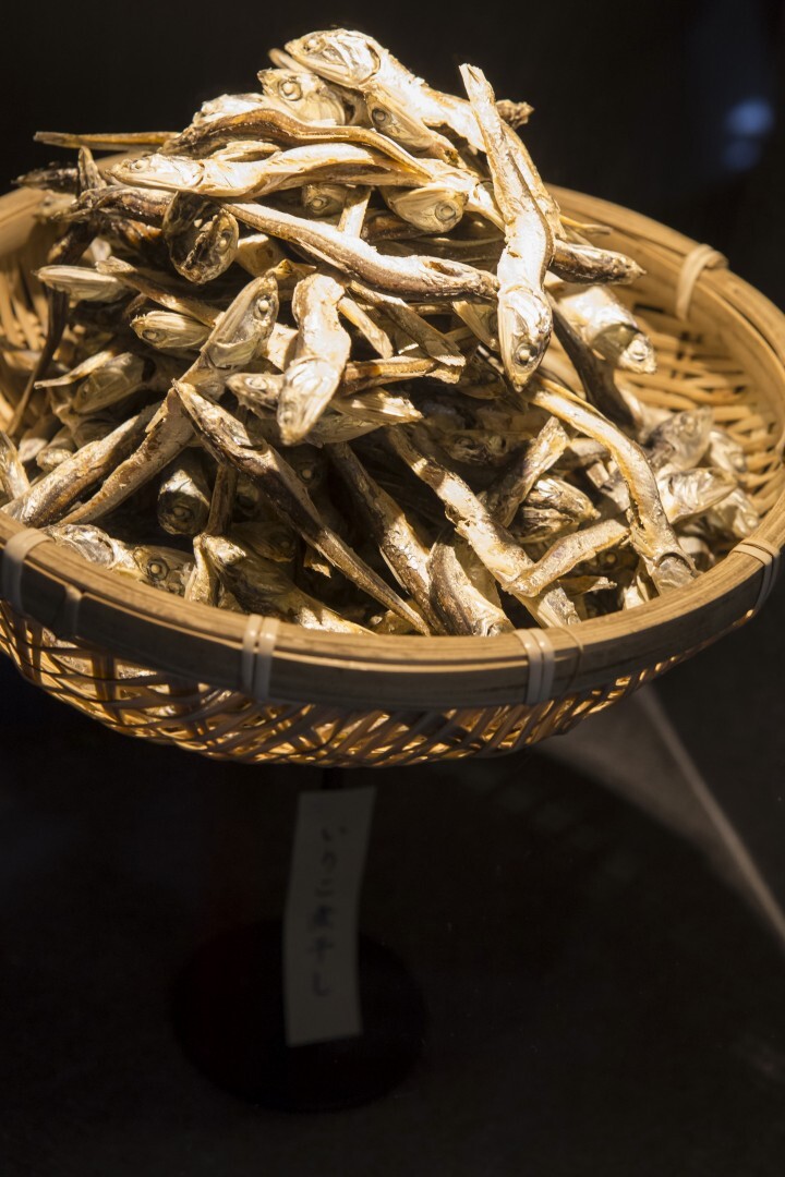 株式会社NFLのプレスリリース画像4