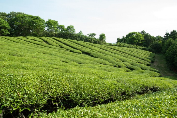 株式会社NFLのプレスリリース画像3