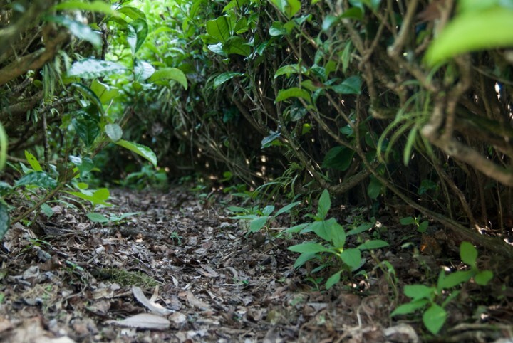 株式会社NFLのプレスリリース画像7