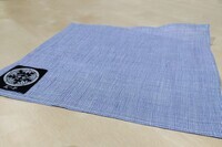 株式会社NFLのプレスリリース画像10