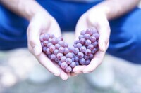 株式会社NFLのプレスリリース画像6