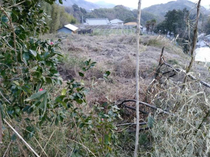 株式会社NFLのプレスリリース画像4