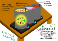 株式会社NFLのプレスリリース画像4