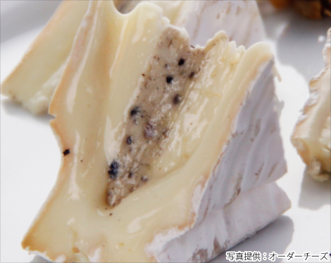 Cnielのプレスリリース画像9