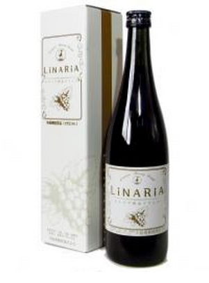 株式会社彩寿堂のプレスリリース画像1