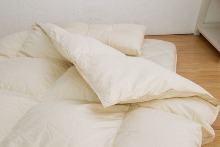 株式会社コバックスのプレスリリース画像4