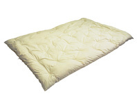 株式会社コバックスのプレスリリース画像5