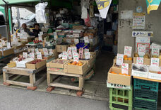 行徳ハロウィン実行委員会のプレスリリース画像6