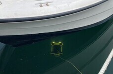 ミナミホールディングス株式会社のプレスリリース画像1