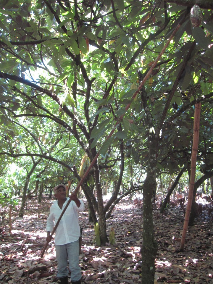 株式会社 明治のプレスリリース画像7