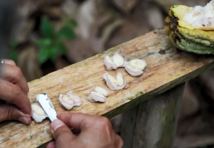 株式会社 明治のプレスリリース画像4