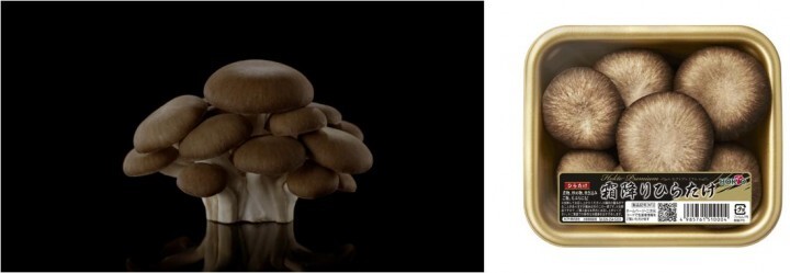 ホクト株式会社のプレスリリース画像9