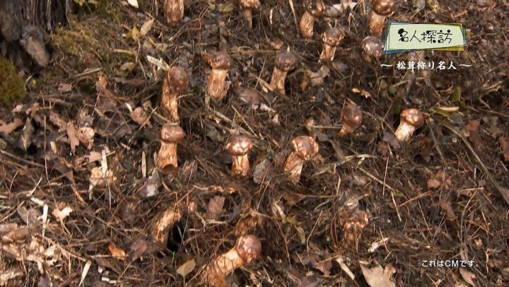 ホクト株式会社のプレスリリース画像4