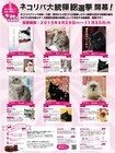 自走型保護猫カフェ　ネコリパブリックのプレスリリース