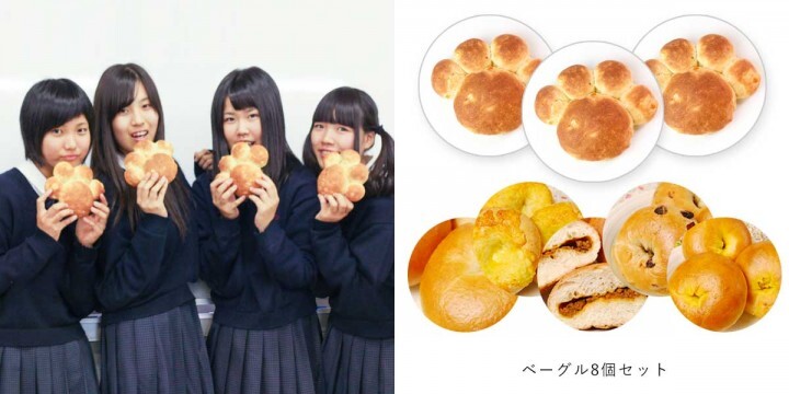 自走型保護猫カフェ　ネコリパブリックのプレスリリース画像1