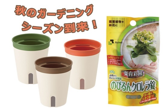 水やりが通常のおおよそ3分の1 4分の1の回数になる底面給水鉢 ミエルノplus ポット と固形タイプの活力剤 のびるんクロレラ錠 がお得に試せる 株式会社イーライフのプレスリリース 水やりが通常のおおよそ3分の1 4分の1の回数になる底面給水鉢 ミエルノplus ポット と固形タイプの活力剤 のびるんクロレラ錠 がお得に試せる 株式会社イーライフのプレスリリース