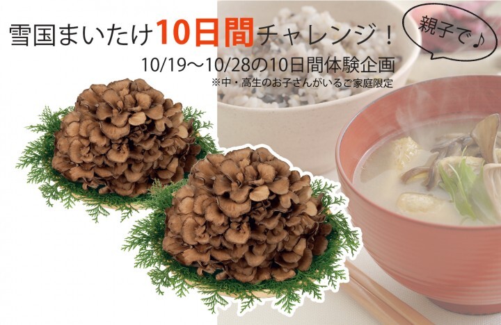 株式会社イーライフのプレスリリース画像1