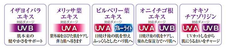 株式会社不二ビューティのプレスリリース画像10