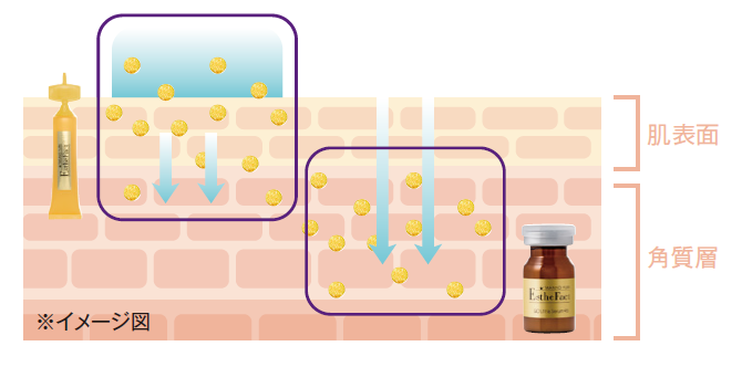 株式会社不二ビューティのプレスリリース画像3