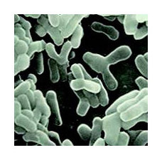 株式会社不二ビューティのプレスリリース画像4