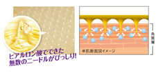 株式会社不二ビューティのプレスリリース画像3