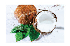 株式会社不二ビューティのプレスリリース画像4