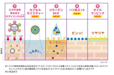 株式会社スイスセルラボ・ジャパンのプレスリリース画像3