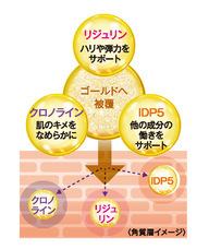 株式会社スイスセルラボ・ジャパンのプレスリリース画像7